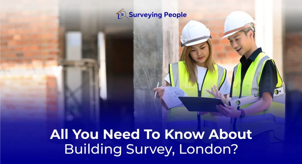 All You Need To Know About Building Survey