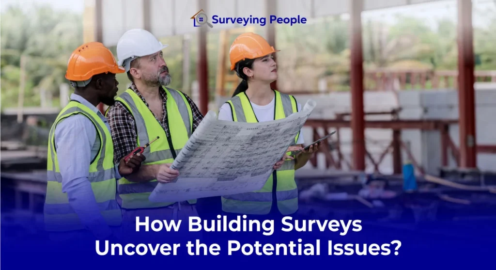 How Building Surveys Uncover the Potential Issues?