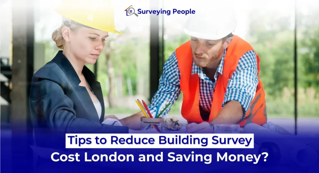 Tips to Reduce Building Survey Cost London and Saving Money?