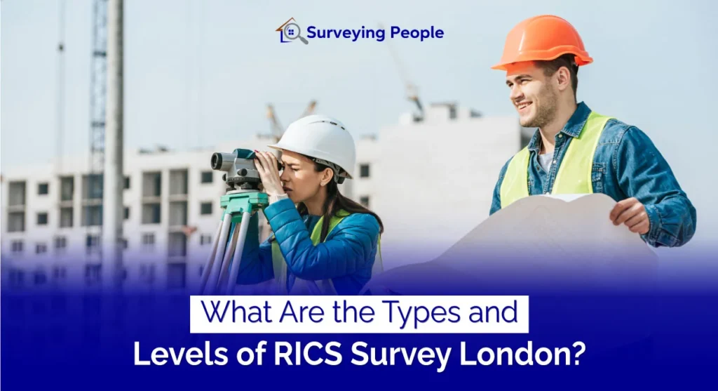 Types and levels of RICS Survey London