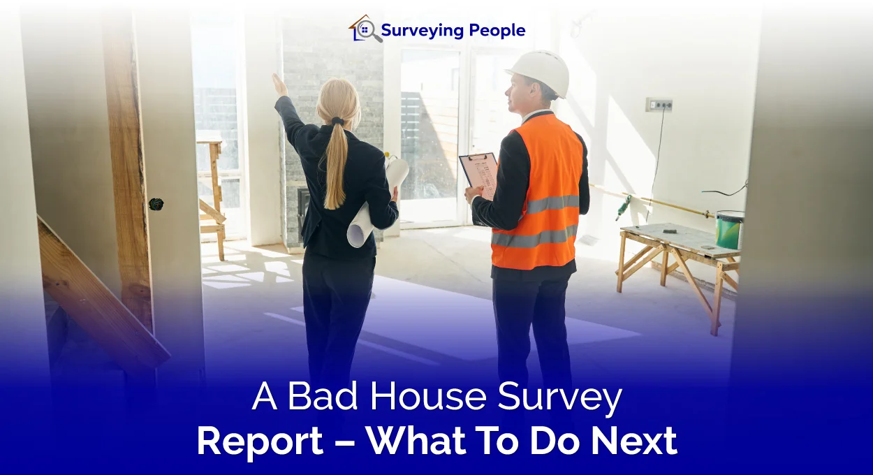 A Bad House Survey Report - What To Do Next