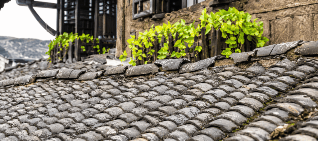 RICS Level 3 building survey drone roof inspection identifying slate defects – Surveying People