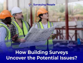 How Building Surveys Uncover the Potential Issues?